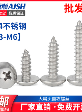 速发54不锈钢大扁头自攻螺丝十字圆头加长木螺丝4M钉M0M6