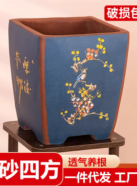 紫砂花盆家用四季绿萝大口径蝴蝶兰斗笠盆阳台绿植透气花盆景盆栽