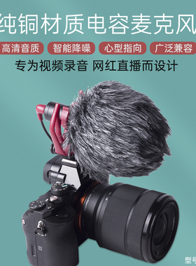 LENSGO朗诗歌DMM1单反微单相机顶收音麦克风指向性降噪电容收音麦