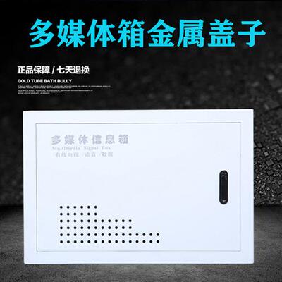 多媒体信息箱盖子弱电箱盖板家用网络集线箱金属铁面板330*220
