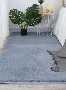ins风加厚长毛仿兔绒地毯卧室床边满铺地垫飘窗垫灰色床尾毯定制