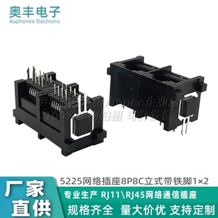 式 2组装 RJ45带铁脚直插口180度 双口电话插座1 5225模块化8P8C立式