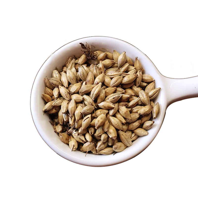 采芝林中医馆炒麦芽中药饮片