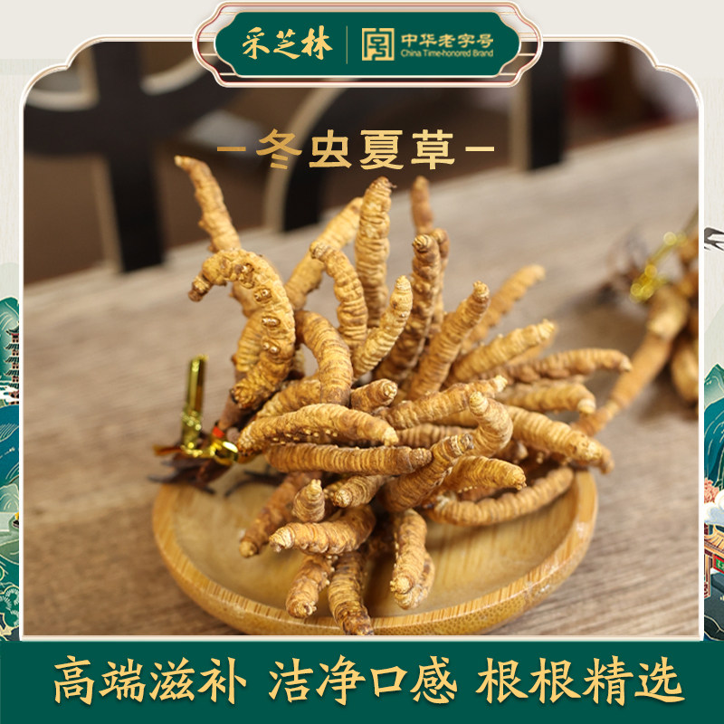 采芝林冬虫夏草干货袋装散称冻干人工繁育送人可干嚼泡酒高端滋补