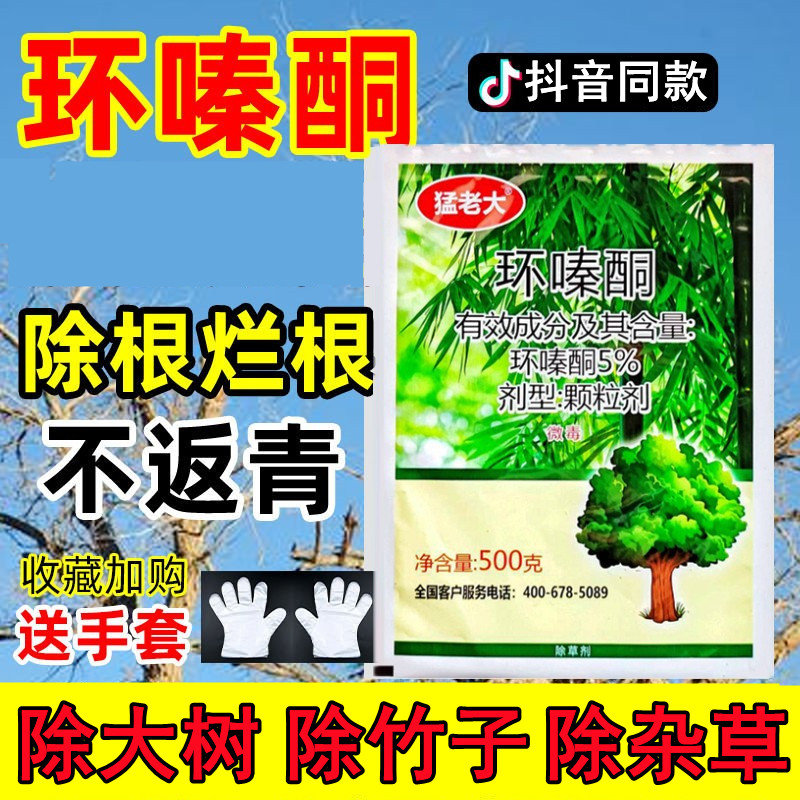 猛老大环嗪酮铜除草烂根剂除竹子灌木药竹子环嗪哃颗粒烂根除草剂怎么样,好用不?