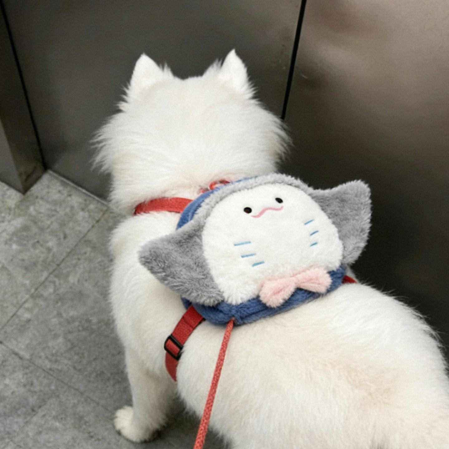 大型犬专用狗狗自背包自己背的双肩小书包萨摩耶阿拉斯加金毛边牧