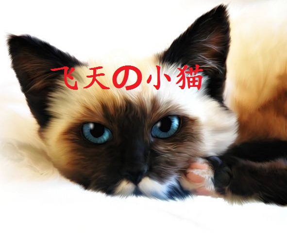 宠物猫咪活体泰国暹罗猫纯种暹罗猫幼崽蓝眼睛挖煤工