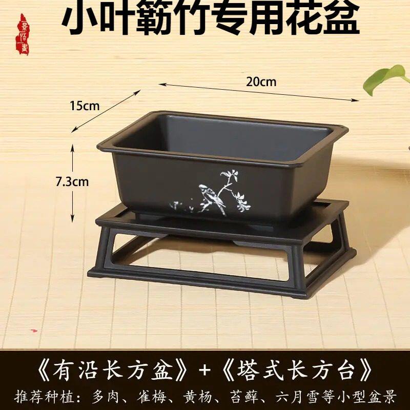 小叶簕竹专用花盆勒竹根