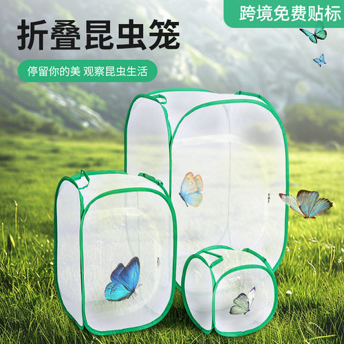 可折叠透光昆虫饲养观察网笼