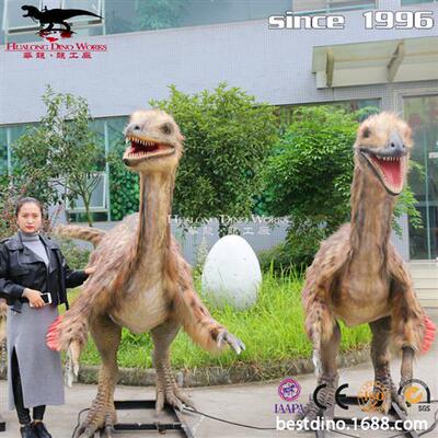 华龙仿真恐龙模型动物园装饰摆设网红商场节日展览仿真似鸟龙
