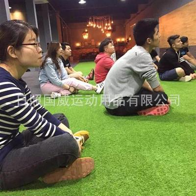 健身雪橇用人造草坪屋顶阳台健身房私教室工具仿真绿草皮跑道