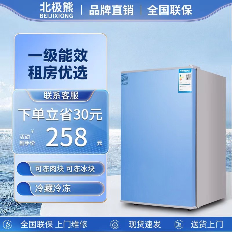 北极熊小冰箱小型家用迷你单门冷藏冷冻宿舍租房办公室节能电冰箱