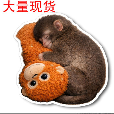 Protect Punch The Monkey Decor保护猴子拳击贴纸