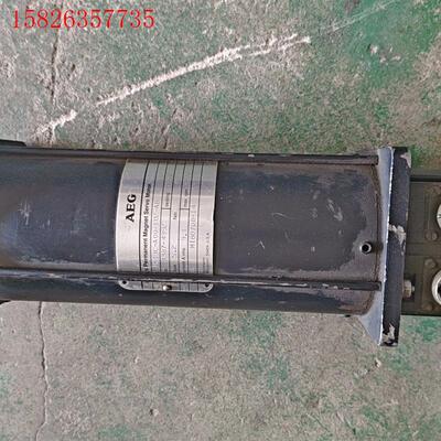 里奇AEG电机M313C-A00-102-AB(议价)