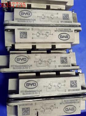 BG300B12LY2-I(议价)