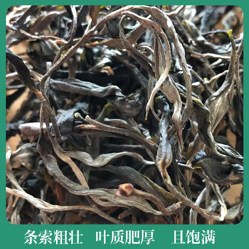 【1公斤头春散茶】云南普洱茶千家寨2025年普洱茶生茶散装茶