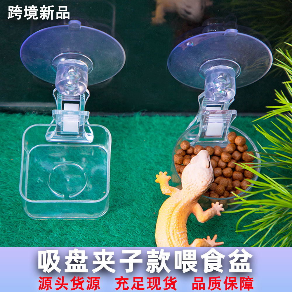 爬宠食盆水盆爬虫箱造景装饰睫角守宫蜥蜴树栖宠物用品