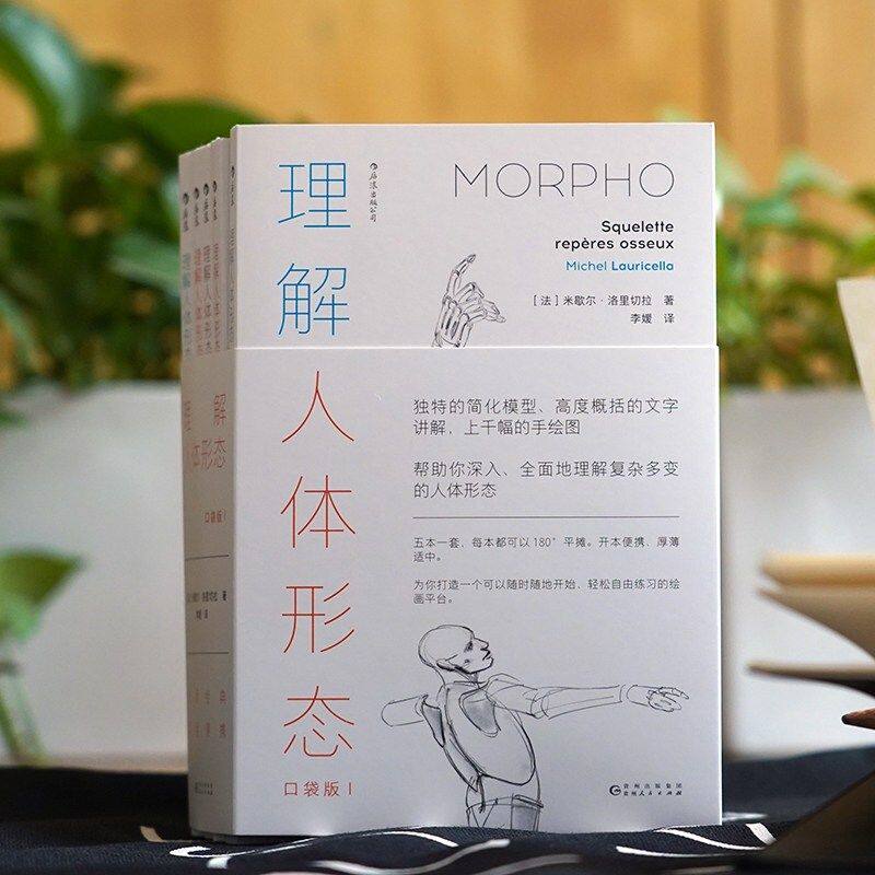 理解人体形态 口袋版全5册整体骨骼关节肌肉脂肪皮肤褶皱手脚部手绘人体艺用解剖素描书籍 零基础绘画速写入门 后浪直营