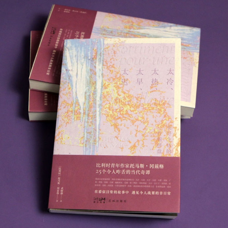 美好生活的什锦拼盘小说集后浪