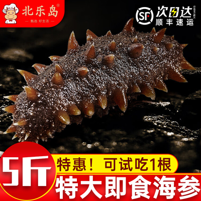 海参即食刺鲜活淡干海渗渤海湾瓦房店干货野生海生500g特价装袋