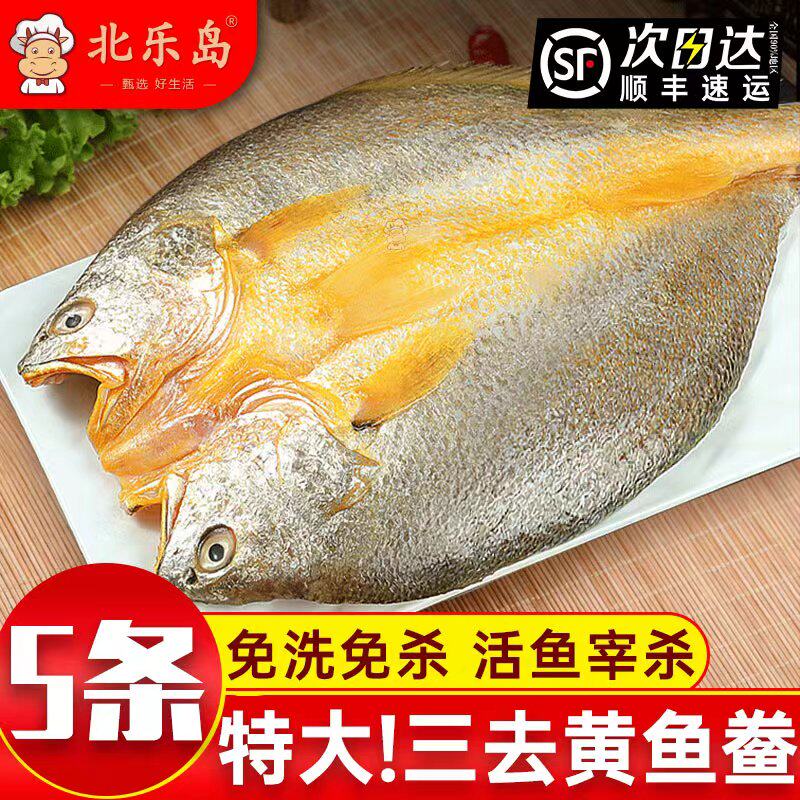黄鱼鲞新鲜冷冻大黄鱼黄花鱼三去生鲜宁德小黄鱼海鲜鱼类海鱼商用
