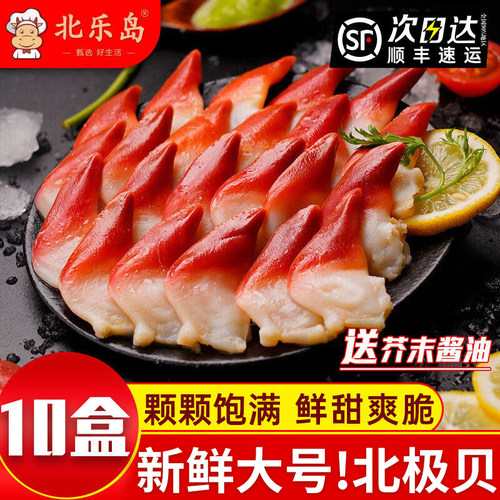 大号北极贝可以做刺身新鲜