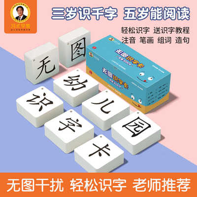 冯式早教3000字幼儿园儿童识字卡片无图认字生汉字卡幼小衔接启蒙
