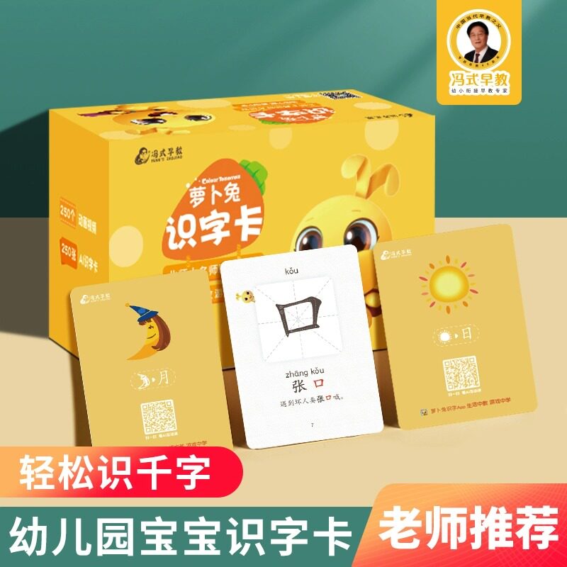 冯式早教幼儿园识字卡片3000玩具挂图/认知卡
