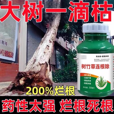 烂根除大树专用杀大树药强力腐树根专用剂枯树王药灭树一滴死神器