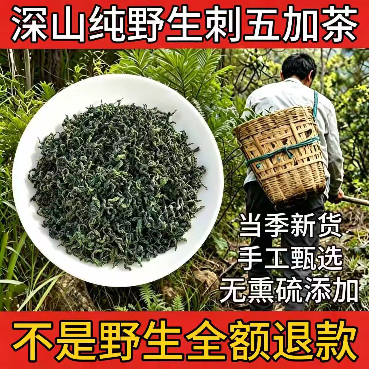 野生刺五加正品头茬嫩叶泡茶助眠