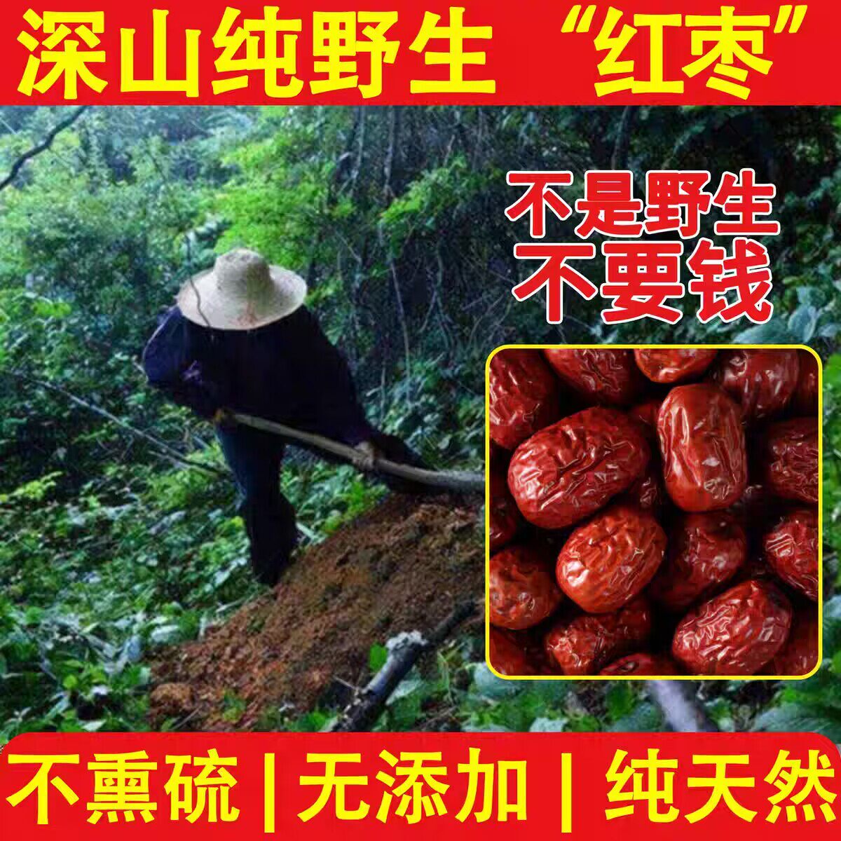 深山特级纯野生红枣干货500g无硫熏新鲜纯天然大枣中药材新货山枣