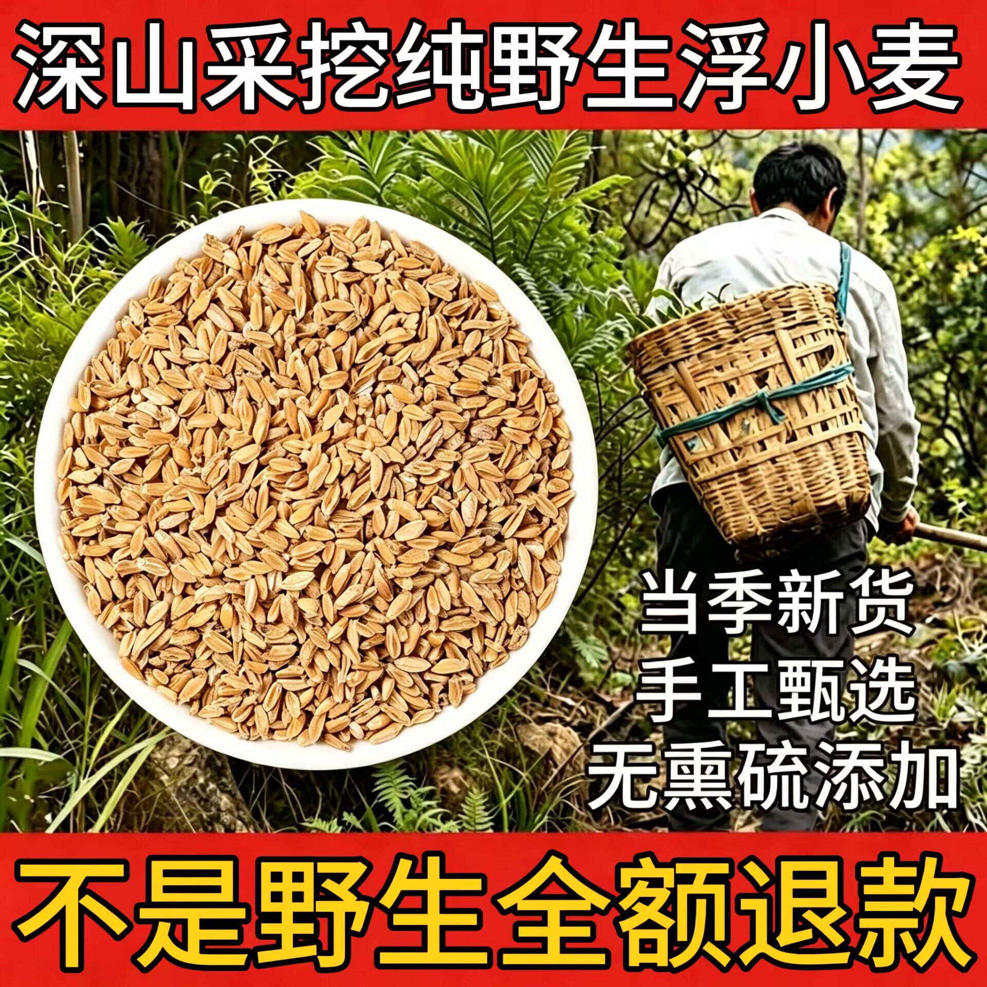 野生浮小麦正品中药材天然干瘪子漂浮小麦无碎渣甘草红枣止虚汗茶