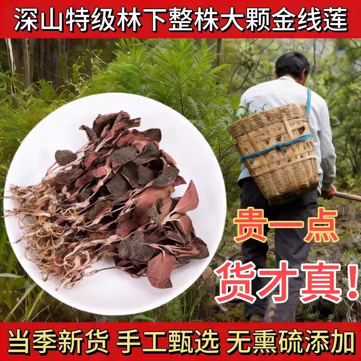 福建正宗老金线莲整株干货100g南靖林下野生开花金线莲养生茶煲汤