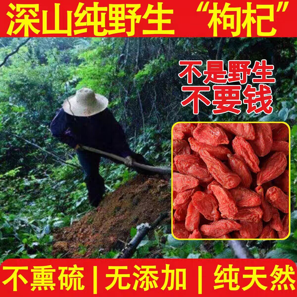 野生老枸杞500g宁夏枸杞子中宁构杞茶男肾头茬红苟杞正品特级枸杞