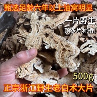 正宗野生白术中药材500g精选新货大片蜂窝孔白术生晒白术片白术粉