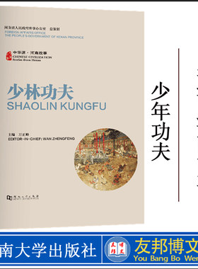 正版现货 中华源•河南故事•少林功夫/“中华源•河南故事.少林功夫 河南大学出版社