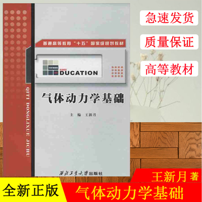 气体动力学基础王新月