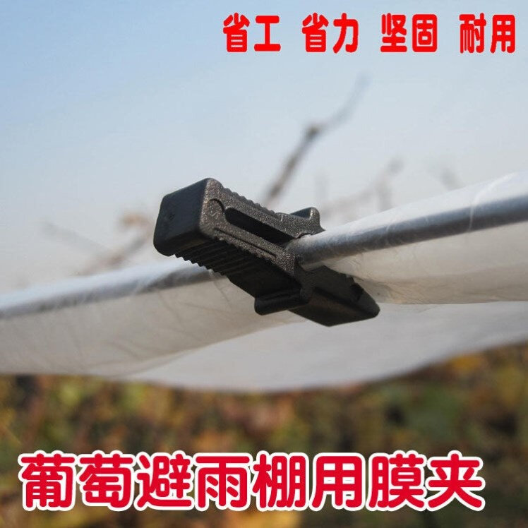 速发葡萄树避雨棚固膜卡竹夹夹雨避压膜卡塑料夹膜子绑枝卡二膜夹