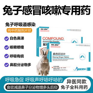 兔子感冒打喷嚏肺炎药流白鼻涕食欲不振鼻炎头后仰呼吸急促消炎用