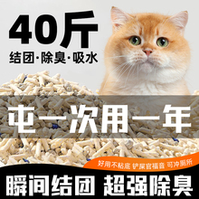 除臭膨润土猫砂无尘豆腐猫砂20斤大袋猫舍40斤豆腐猫沙颗粒混合