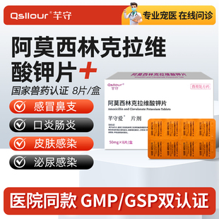 阿莫西林克拉维酸钾猫咪宠物狗狗专用消炎药感冒猫鼻支药速泌诺尿