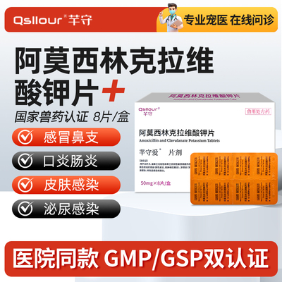 阿莫西林克拉维酸钾片