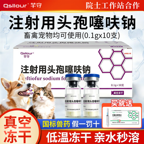 宠物消炎退烧头孢噻呋钠GMP认证