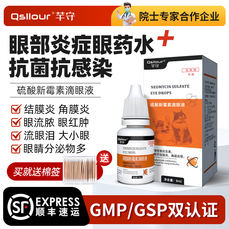 硫酸新霉素滴眼液猫咪狗狗眼药水
