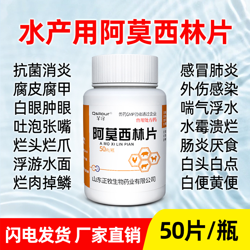 龟用阿莫西林片乌龟专用药消炎药烂身土霉素水族鱼药感冒药肺炎药
