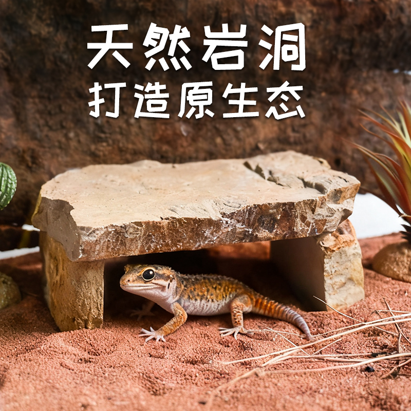 守宫躲避洞天然岩石爬宠屋造景