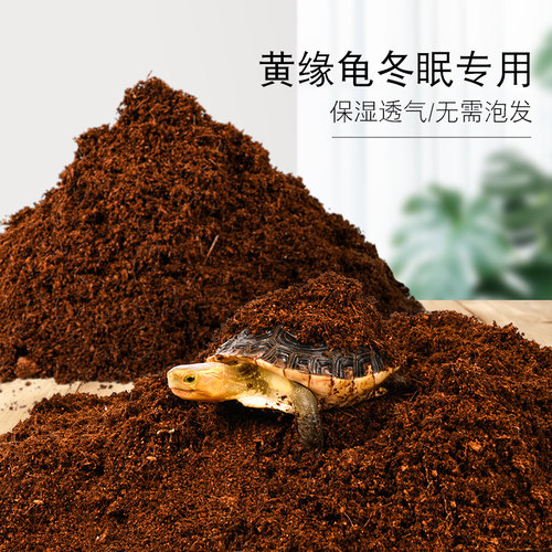 黄缘龟专用椰土冬眠垫材买三送一