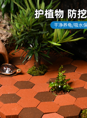 黄缘龟箱造景专用陶土砖小红砖安缘饲养缸环镜保湿地砖陆龟用垫材