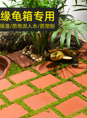 黄缘龟箱造景专用陶砖小红砖安缘饲养缸陶土砖陆龟铺地垫材装饰品