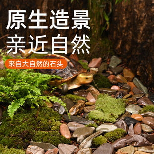 乌龟缸造景石溪流砂天然石头黄缘龟造景专用巴西草龟饲养缸原生石